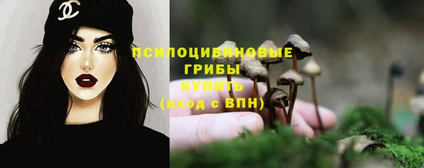 герыч Алексин