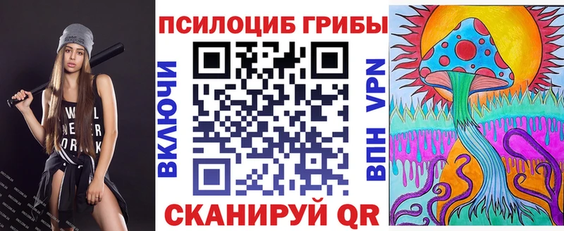 OMG вход  купить   Ленинск-Кузнецкий  Галлюциногенные грибы Psilocybe 