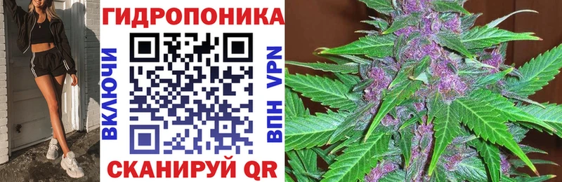 кракен ссылки  Ленинск-Кузнецкий  Бошки марихуана VHQ 